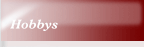 Hobbys